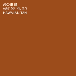 #9C4B1B - Hawaiian Tan Color Image